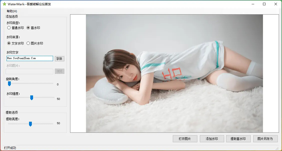 图片[1]-Windows盲水印工具：图像版权保护隐形盾牌-6116资源网