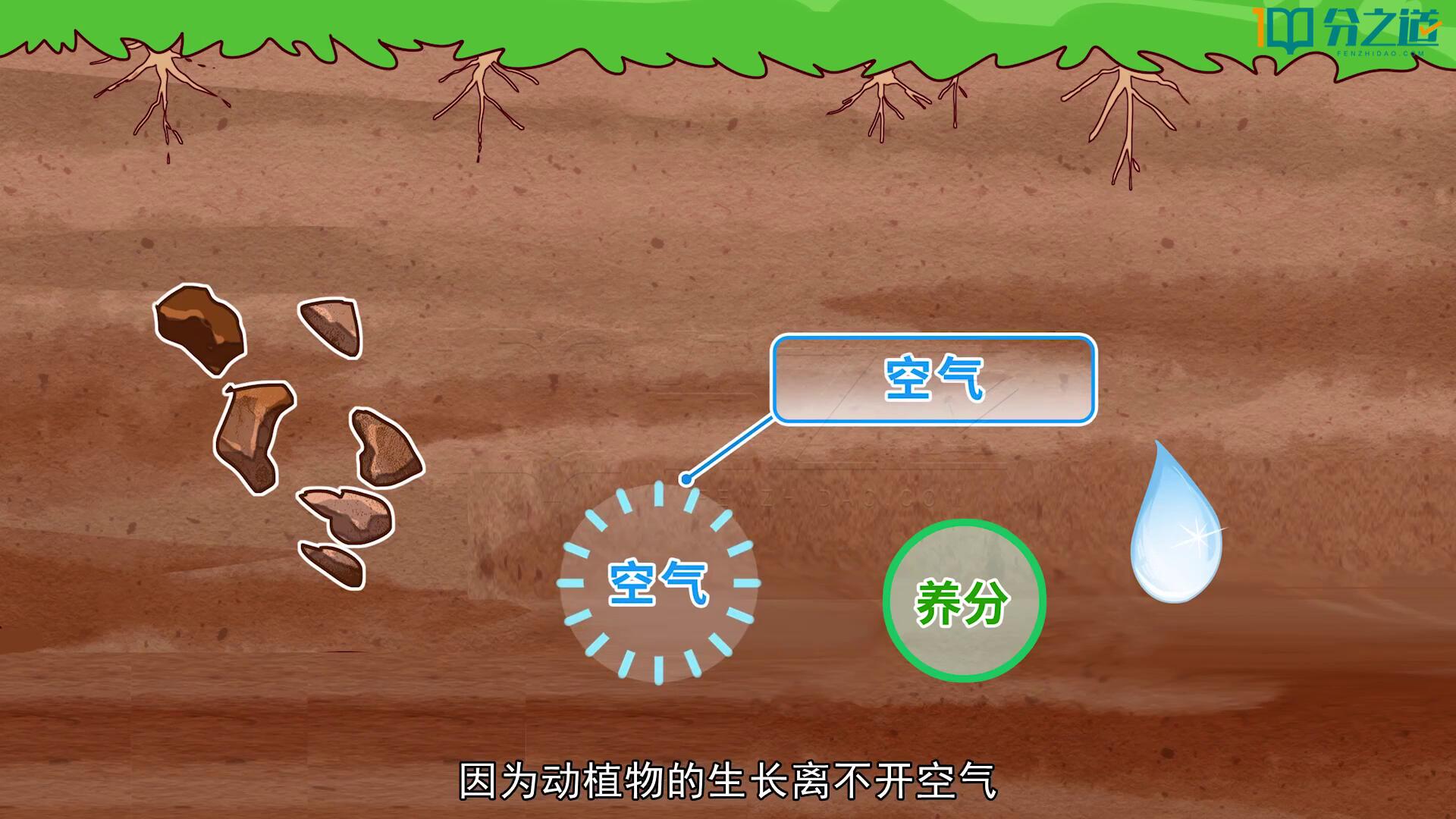 小学科学同步网课动画片 (1-6年级)-6116资源网