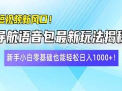 短视频新风口！导航语音包最新玩法揭秘，新手小白零基础也能轻松日入10…-6116资源网