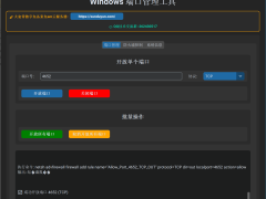 Windows端口开放管理工具-6116资源网