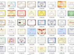 200多种类型证书PSD源码-6116资源网