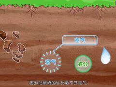 小学科学同步网课动画片 (1-6年级)-6116资源网