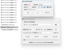 最全驱动PE 10PE+11PE网络版合盘 v1.0 / 2026.1.16-二分区启动盘制作工具-6116资源网