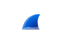 Wireshark v4.6.0 绿色版（网络抓包工具）-6116资源网