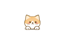 橘猫4K v3.0.0 去广告版（Android）-6116资源网