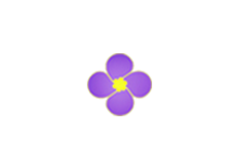 紫金草视频 v4.6.0 去广告版（Android）-6116资源网